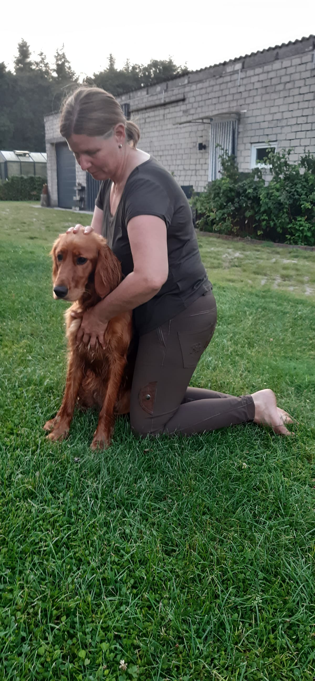 Angelika Janßen bei der osteopathischen Behandlung eines Hundes in Wittmund