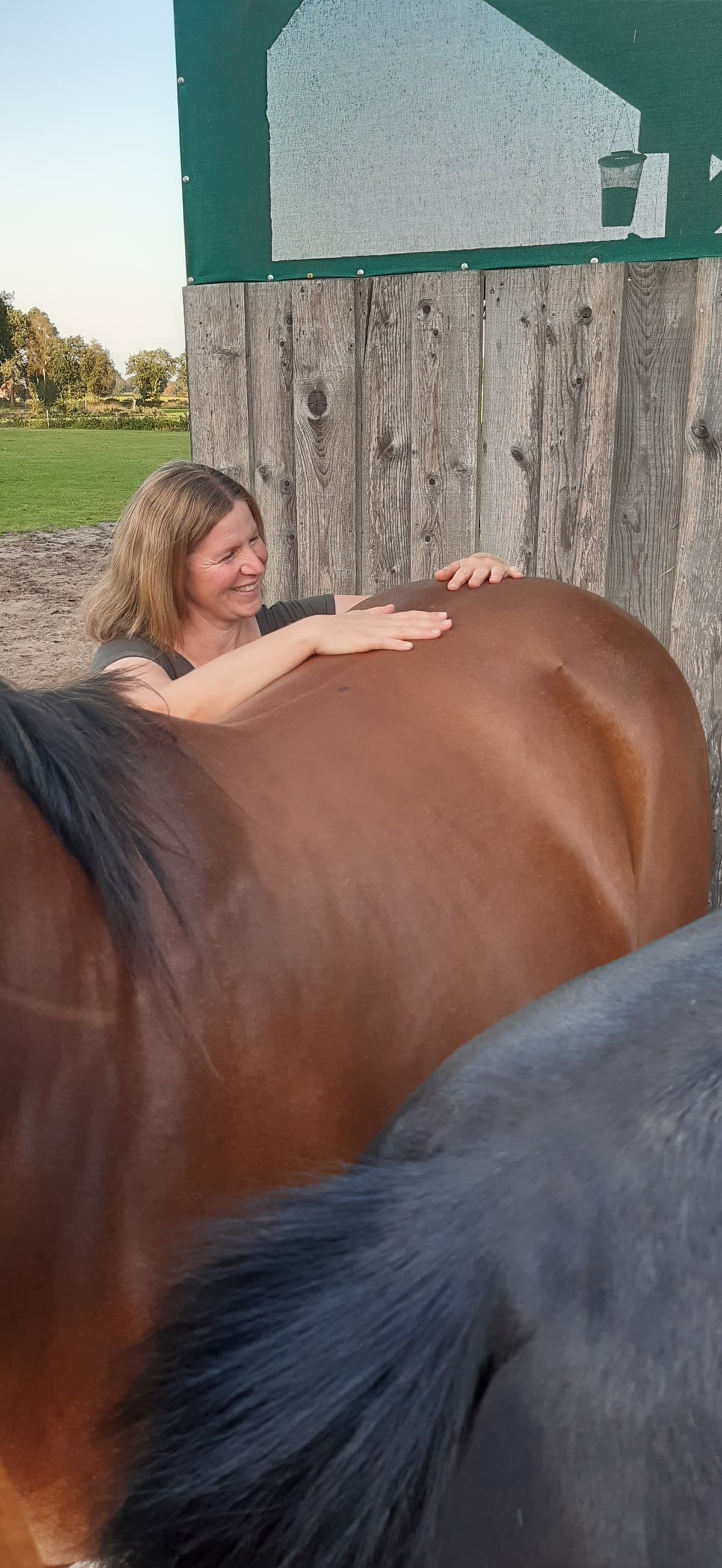Osteopathische Pferdebehandlung in Ostfriesland bei Angelika Janßen